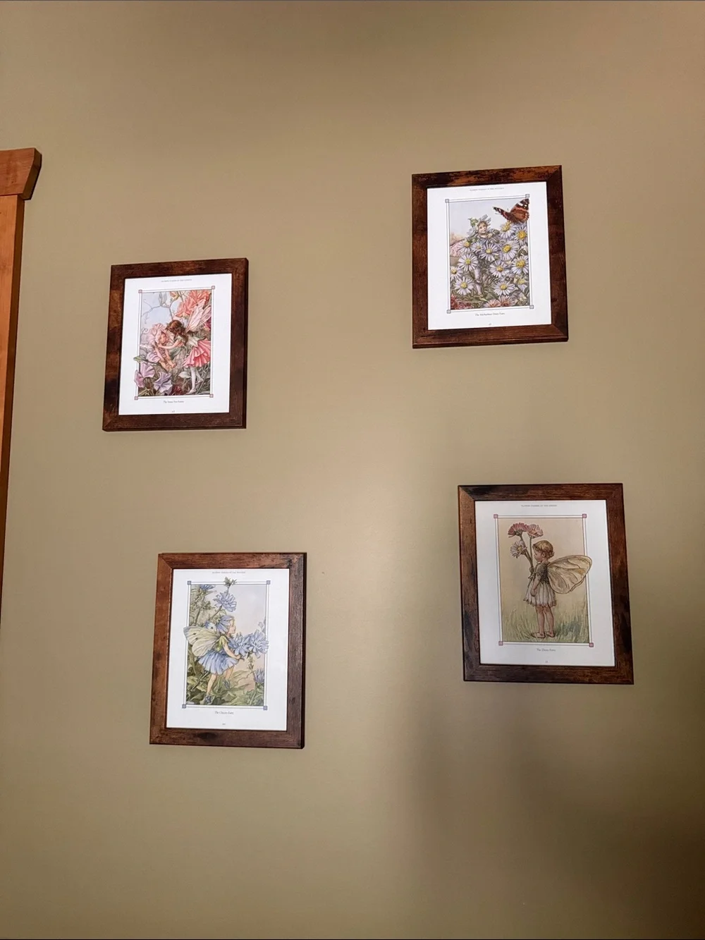 Wooden Frame Fairy Botanical Wall Art Set - Brown